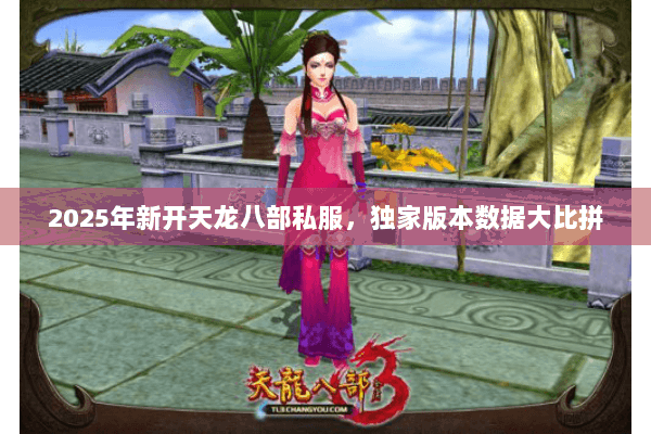 2025年新开天龙八部私服，独家版本数据大比拼