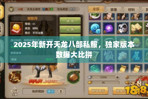 2025年新开天龙八部私服，独家版本数据大比拼