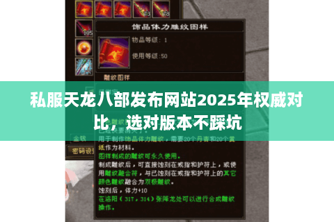 私服天龙八部发布网站2025年权威对比，选对版本不踩坑
