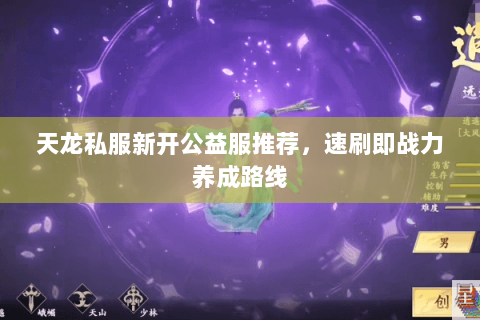 天龙私服新开公益服推荐,速刷即战力养成路线 天龙私服新开公益服推荐,速刷即战力养成路线