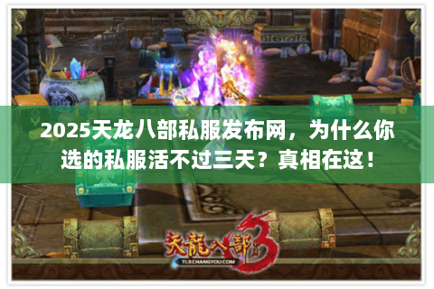 2025天龙八部私服发布网，为什么你选的私服活不过三天？真相在这！