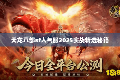 天龙八部sf人气服2025实战精选秘籍