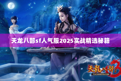 天龙八部sf人气服2025实战精选秘籍