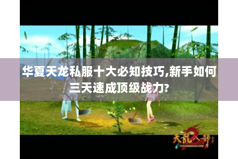 华夏天龙私服十大必知技巧,新手如何三天速成顶级战力? 华夏天龙私服十大必知技巧,新手如何三天速成顶级战力?