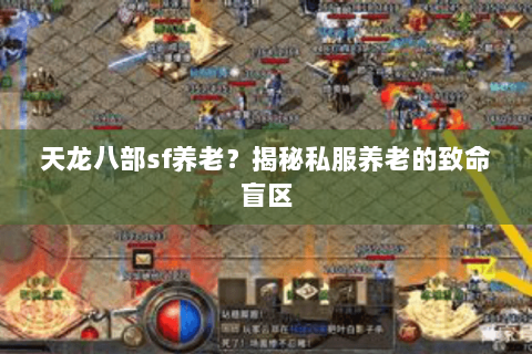 天龙八部sf养老？揭秘私服养老的致命盲区