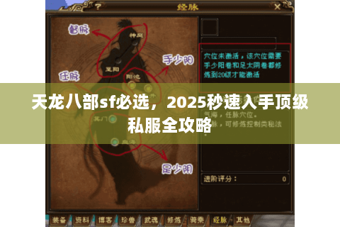 天龙八部sf必选，2025秒速入手顶级私服全攻略