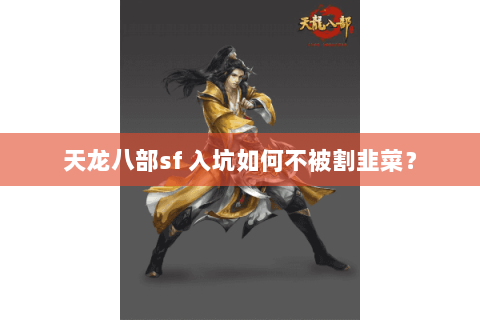天龙八部sf 入坑如何不被割韭菜? 天龙八部sf 入坑如何不被割韭菜?