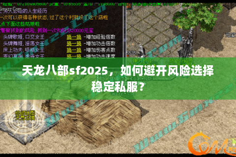 天龙八部sf2025,如何避开风险选择稳定私服? 天龙八部sf2025,如何避开风险选择稳定私服?