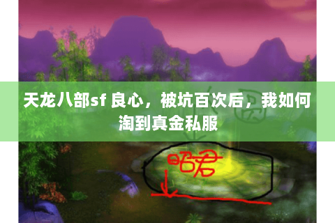 天龙八部sf 良心,被坑百次后,我如何淘到真金私服 天龙八部sf 良心,被坑百次后,我如何淘到真金私服