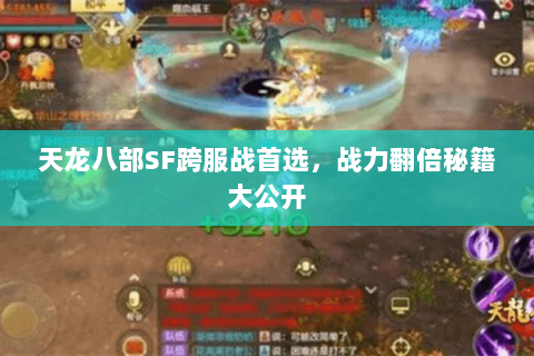 天龙八部SF跨服战首选，战力翻倍秘籍大公开