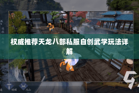 权威推荐天龙八部私服自创武学玩法详解 权威推荐天龙八部私服自创武学玩法详解