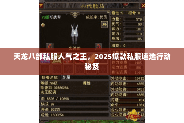 天龙八部私服人气之王，2025爆款私服速选行动秘笈