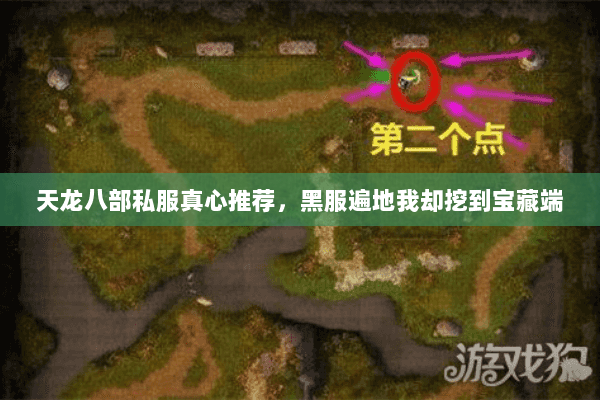 天龙八部私服真心推荐，黑服遍地我却挖到宝藏端