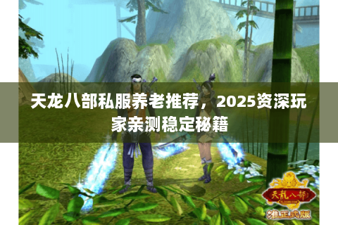 天龙八部私服养老推荐,2025资深玩家亲测稳定秘籍 天龙八部私服养老推荐,2025资深玩家亲测稳定秘籍