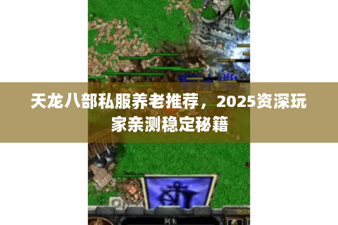 天龙八部私服养老推荐,2025资深玩家亲测稳定秘籍 天龙八部私服养老推荐,2025资深玩家亲测稳定秘籍