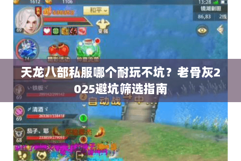 天龙八部私服哪个耐玩不坑？老骨灰2025避坑筛选指南