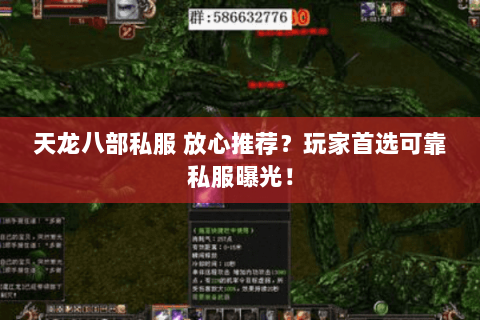 天龙八部私服 放心推荐?玩家首选可靠私服曝光! 天龙八部私服 放心推荐?玩家首选可靠私服曝光!