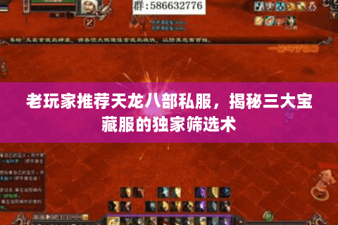 老玩家推荐天龙八部私服，揭秘三大宝藏服的独家筛选术