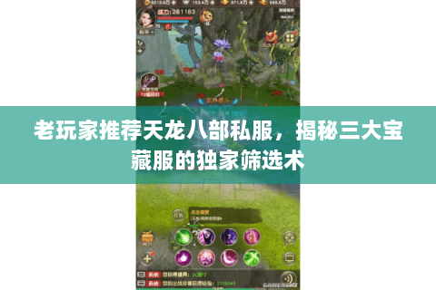 老玩家推荐天龙八部私服，揭秘三大宝藏服的独家筛选术