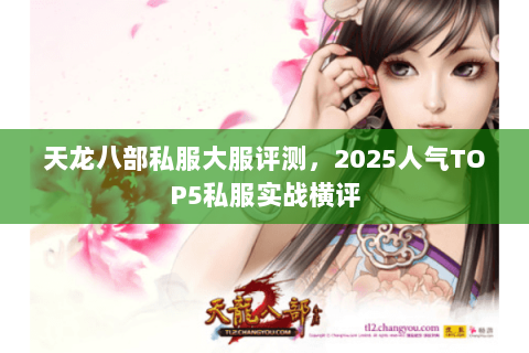 天龙八部私服大服评测，2025人气TOP5私服实战横评