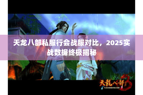 天龙八部私服行会战服对比，2025实战数据终极揭秘