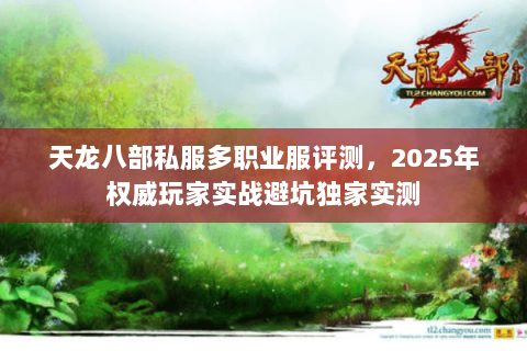 天龙八部私服多职业服评测,2025年权威玩家实战避坑独家实测 天龙八部私服多职业服评测,2025年权威玩家实战避坑独家实测