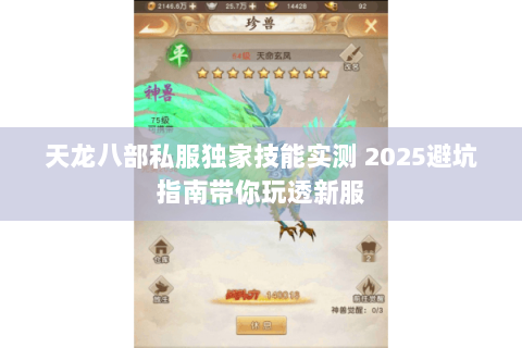 天龙八部私服独家技能实测 2025避坑指南带你玩透新服 天龙八部私服独家技能实测 2025避坑指南带你玩透新服