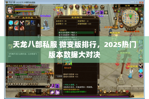 天龙八部私服 微变版排行，2025热门版本数据大对决