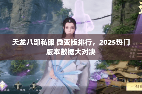 天龙八部私服 微变版排行，2025热门版本数据大对决