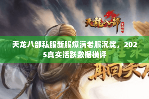 天龙八部私服新服爆满老服沉淀,2025真实活跃数据横评 天龙八部私服新服爆满老服沉淀,2025真实活跃数据横评
