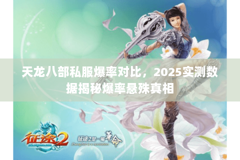 天龙八部私服爆率对比，2025实测数据揭秘爆率悬殊真相