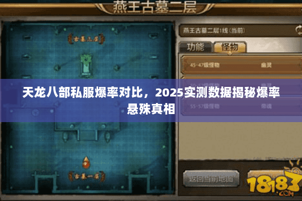 天龙八部私服爆率对比，2025实测数据揭秘爆率悬殊真相