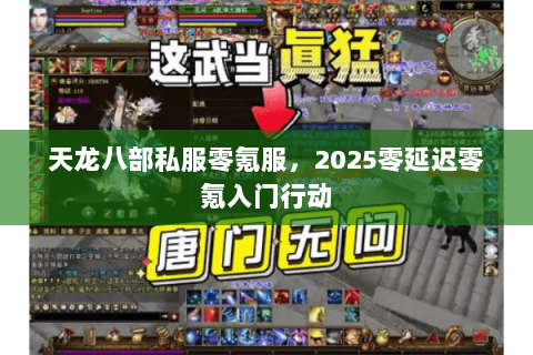 天龙八部私服零氪服，2025零延迟零氪入门行动