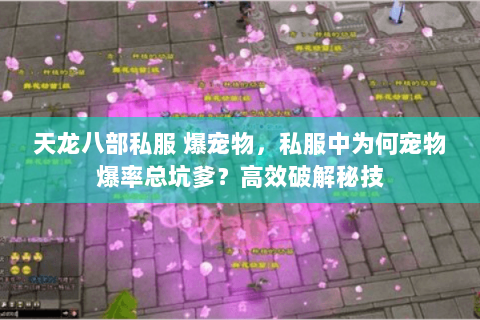 天龙八部私服 爆宠物，私服中为何宠物爆率总坑爹？高效破解秘技