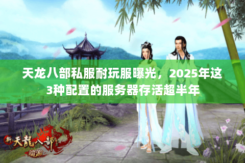 天龙八部私服耐玩服曝光,2025年这3种配置的服务器存活超半年 天龙八部私服耐玩服曝光,2025年这3种配置的服务器存活超半年