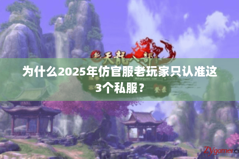为什么2025年仿官服老玩家只认准这3个私服? 为什么2025年仿官服老玩家只认准这3个私服?