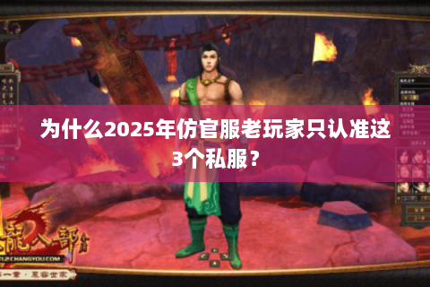 为什么2025年仿官服老玩家只认准这3个私服? 为什么2025年仿官服老玩家只认准这3个私服?
