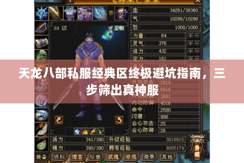 天龙八部私服经典区终极避坑指南，三步筛出真神服