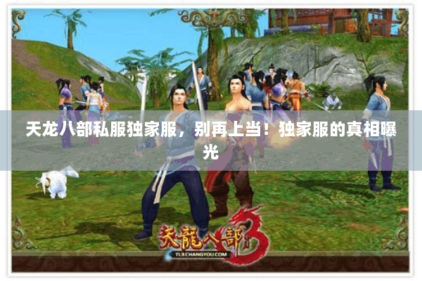 天龙八部私服独家服,别再上当!独家服的真相曝光 天龙八部私服独家服,别再上当!独家服的真相曝光