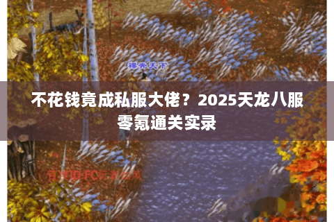 不花钱竟成私服大佬？2025天龙八服零氪通关实录