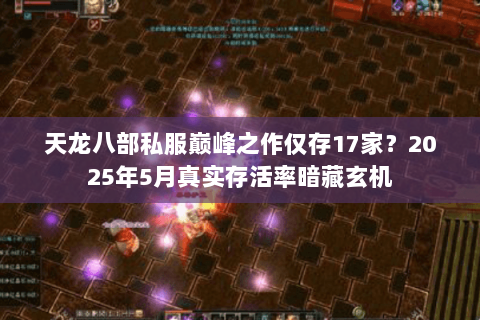 天龙八部私服巅峰之作仅存17家?2025年5月真实存活率暗藏玄机 天龙八部私服巅峰之作仅存17家?2025年5月真实存活率暗藏玄机