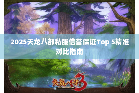 2025天龙八部私服信誉保证Top 5精准对比指南