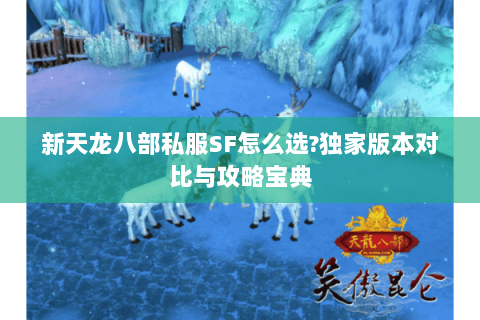 新天龙八部私服SF怎么选?独家版本对比与攻略宝典 新天龙八部私服SF怎么选?独家版本对比与攻略宝典