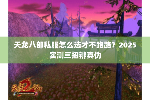 天龙八部私服怎么选才不跑路?2025实测三招辨真伪 天龙八部私服怎么选才不跑路?2025实测三招辨真伪