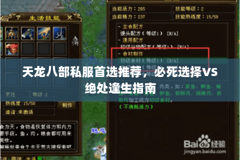 天龙八部私服首选推荐，必死选择VS绝处逢生指南