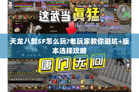 天龙八部SF怎么玩?老玩家教你避坑+版本选择攻略