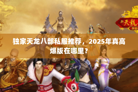 独家天龙八部私服推荐，2025年真高爆版在哪里？