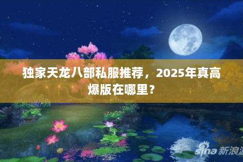 独家天龙八部私服推荐，2025年真高爆版在哪里？