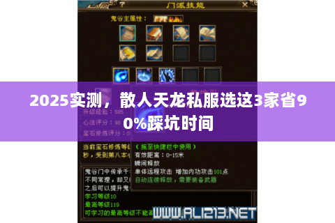2025实测，散人天龙私服选这3家省90%踩坑时间