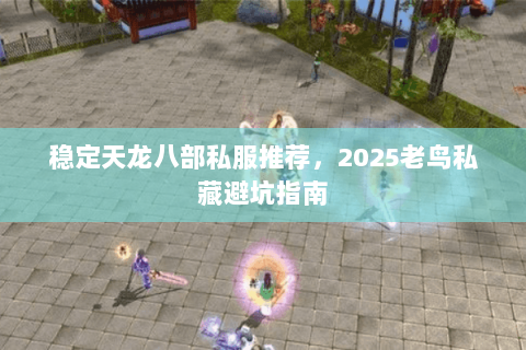 稳定天龙八部私服推荐,2025老鸟私藏避坑指南 稳定天龙八部私服推荐,2025老鸟私藏避坑指南